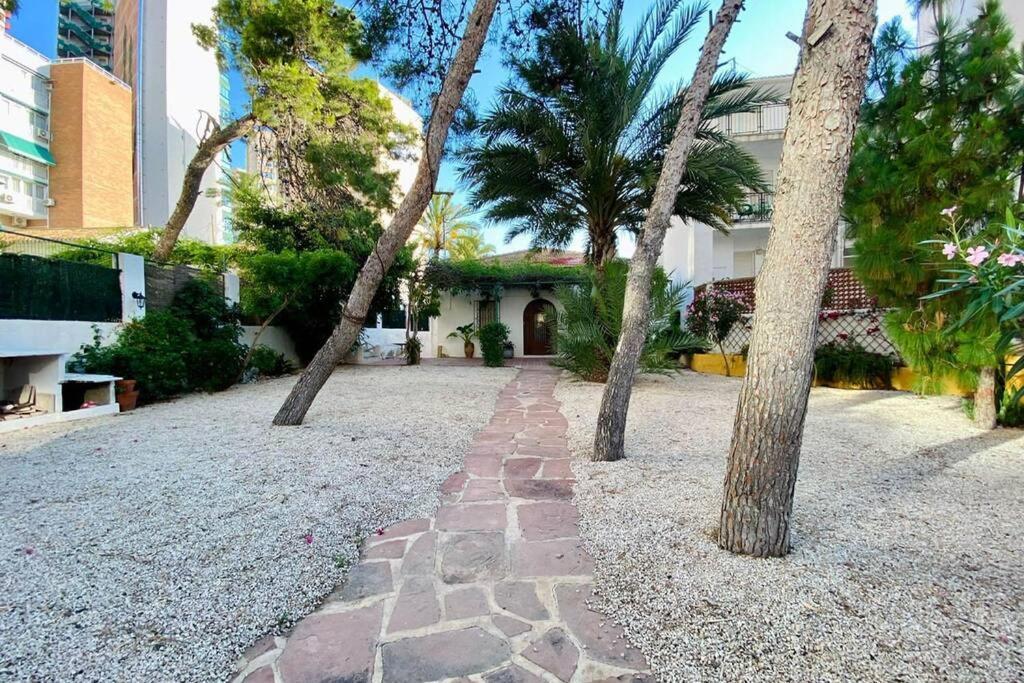 Appartamento Casa Voramar: Mirador Al Mediterraneo Benidorm